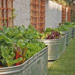 Organic gardening that will uplift the value of your house: Here are the tips you can follow